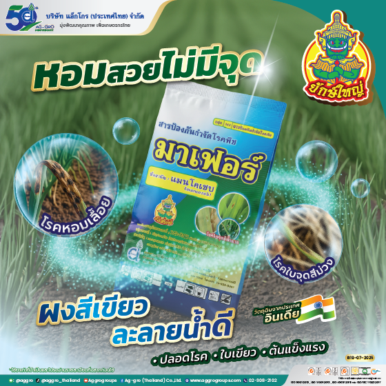 มาเฟอร์